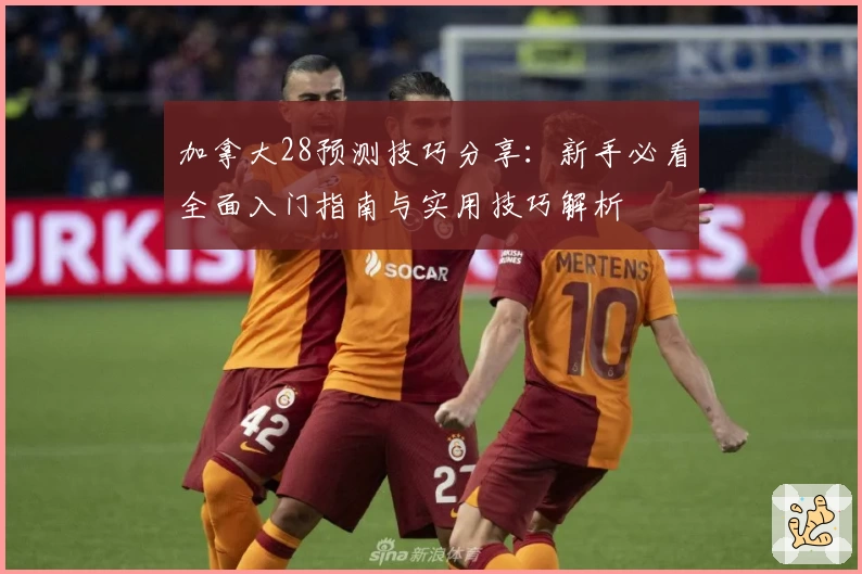 加拿大28预测技巧分享：新手必看全面入门指南与实用技巧解析