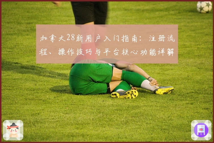 加拿大28新用户入门指南：注册流程、操作技巧与平台核心功能详解