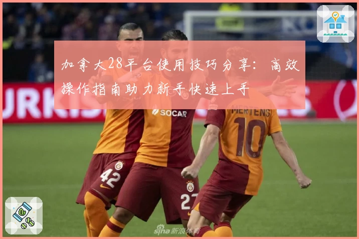 加拿大28平台使用技巧分享：高效操作指南助力新手快速上手
