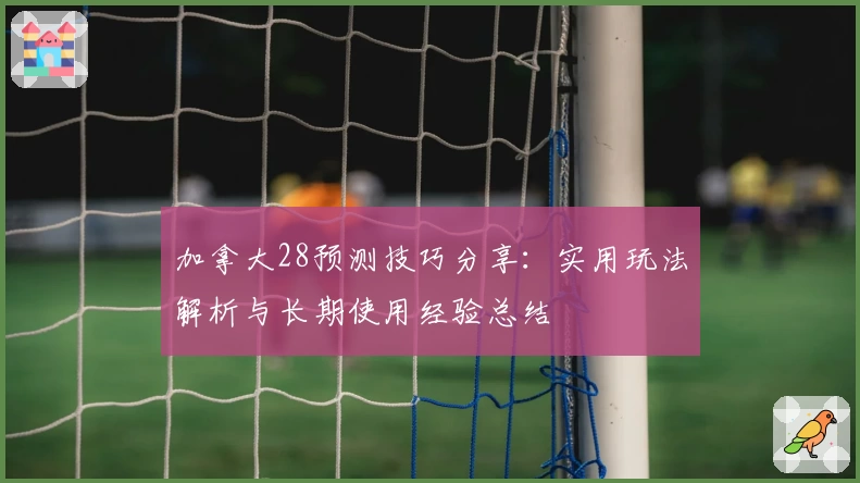 加拿大28预测技巧分享：实用玩法解析与长期使用经验总结