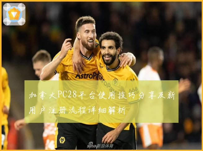 加拿大PC28平台使用技巧分享及新用户注册流程详细解析