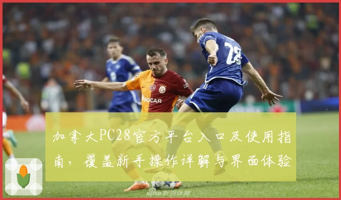 加拿大PC28官方平台入口及使用指南,覆盖新手操作详解与界面体验分析