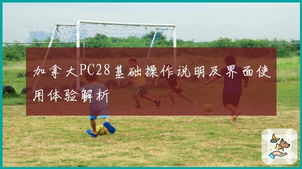 加拿大PC28基础操作说明及界面使用体验解析