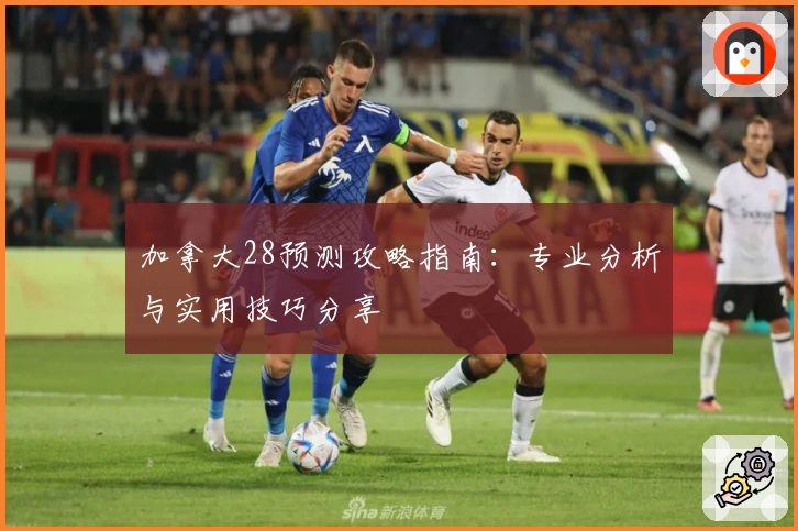 加拿大28预测攻略指南：专业分析与实用技巧分享