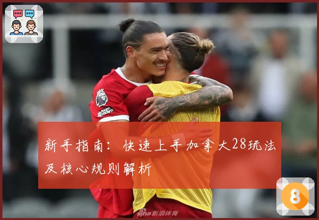 新手指南:快速上手加拿大28玩法及核心规则解析