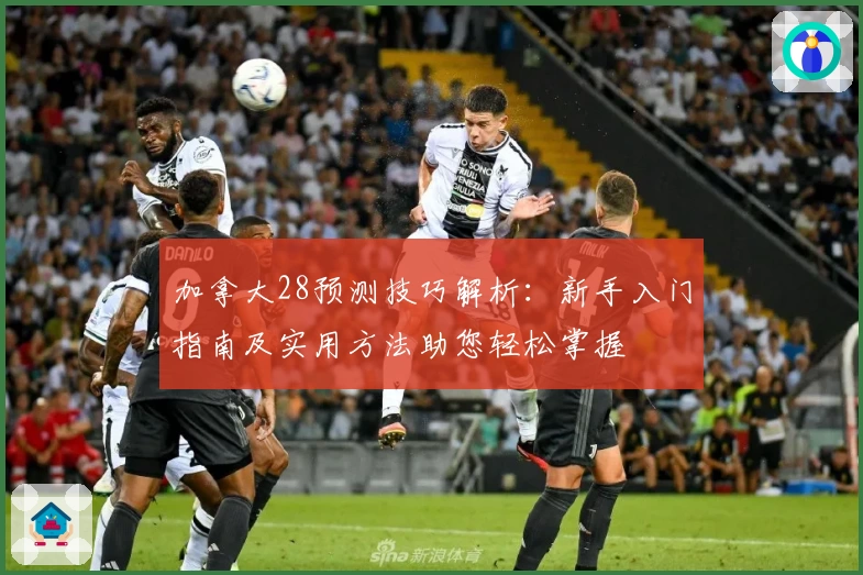 加拿大28预测技巧解析：新手入门指南及实用方法助您轻松掌握