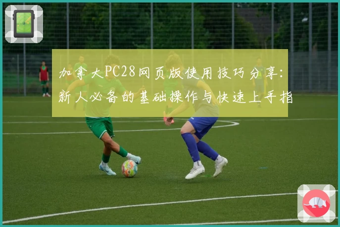 加拿大PC28网页版使用技巧分享：新人必备的基础操作与快速上手指南