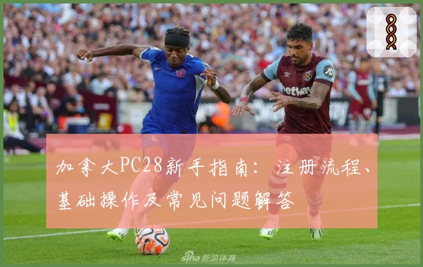 加拿大PC28新手指南：注册流程、基础操作及常见问题解答