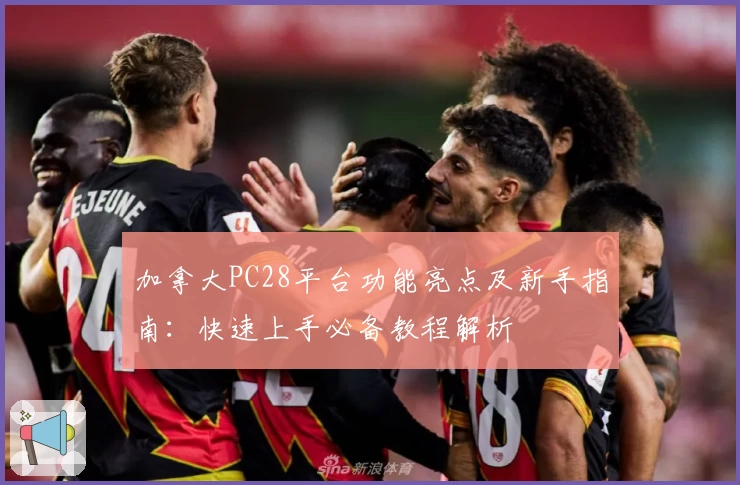 加拿大PC28平台功能亮点及新手指南：快速上手必备教程解析